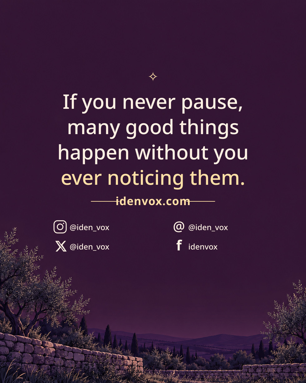 If you never pause, many good things happen without you ever noticing them.
