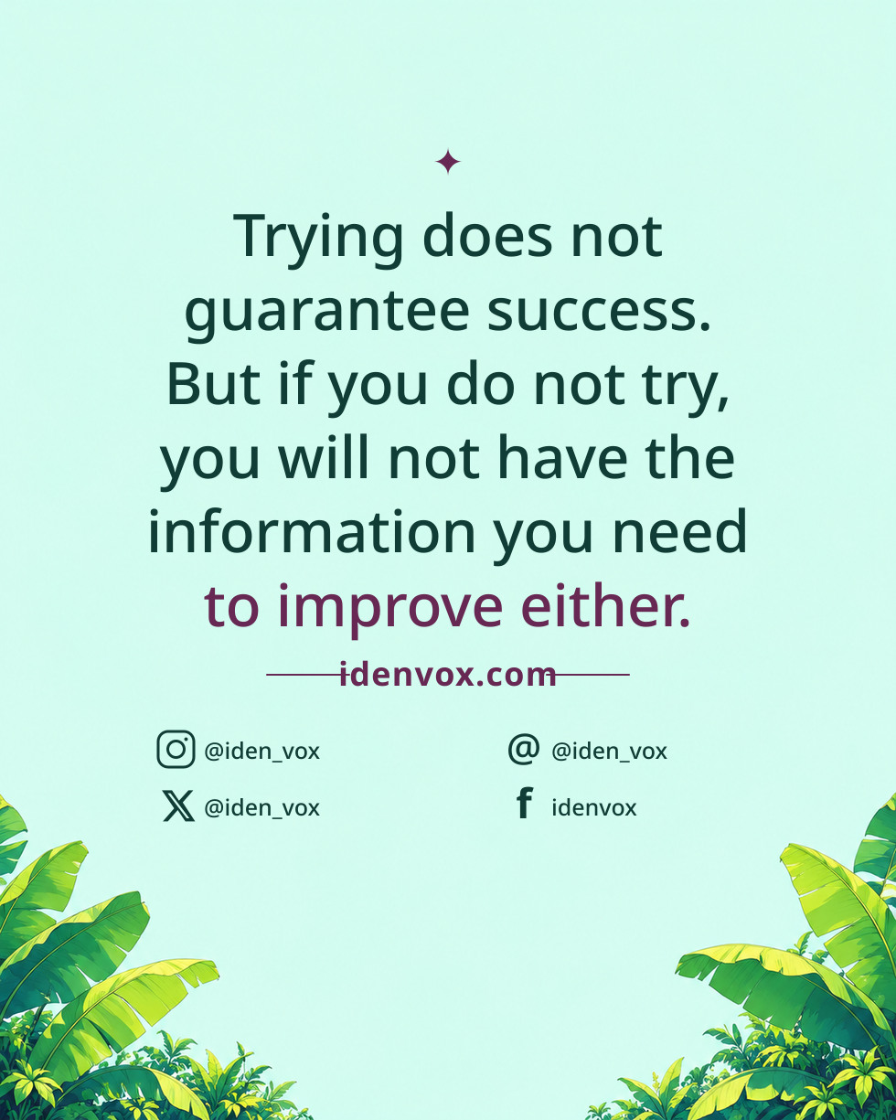 Trying does not guarantee success. But if you do not try, you will not have the information you need to improve either.